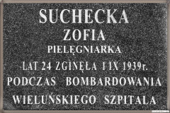 Wielunska-Golgota109