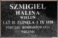 Wielunska-Golgota111