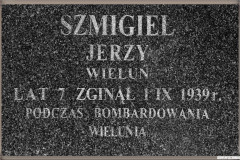 Wielunska-Golgota112