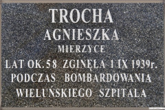 Wielunska-Golgota117