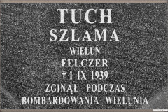 Wielunska-Golgota118