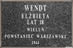 Wielunska-Golgota121